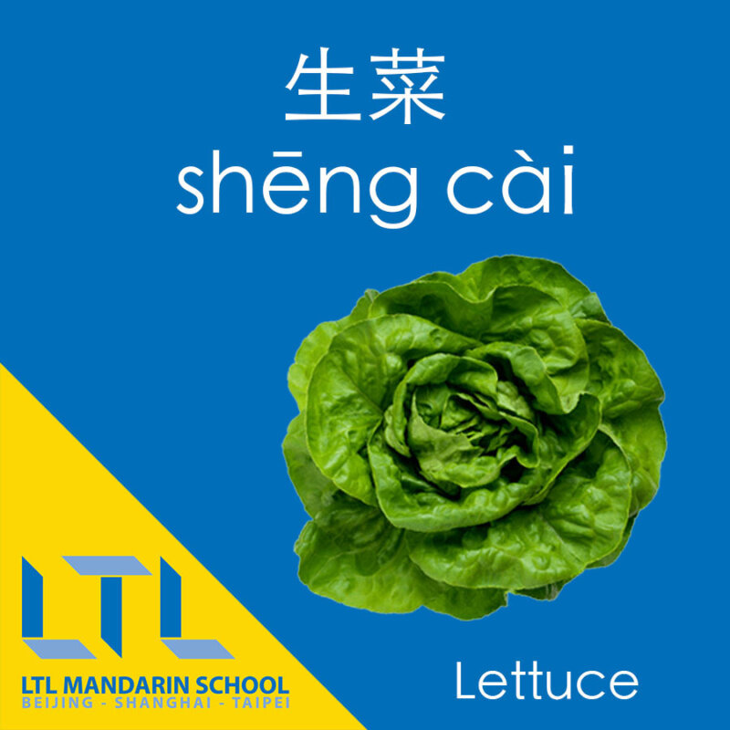 Lettuce in Chinese