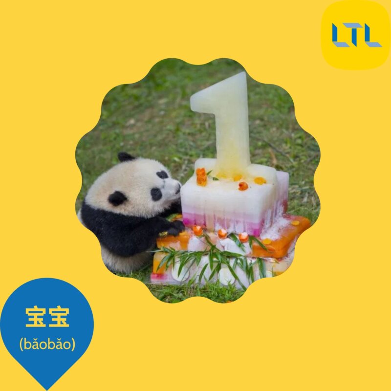 Panda Diplomacy Do China Send Panda S As Gifts Ltl Beihai Panda Diplomacy Do China Send Panda S As Gifts Ltl Beihai