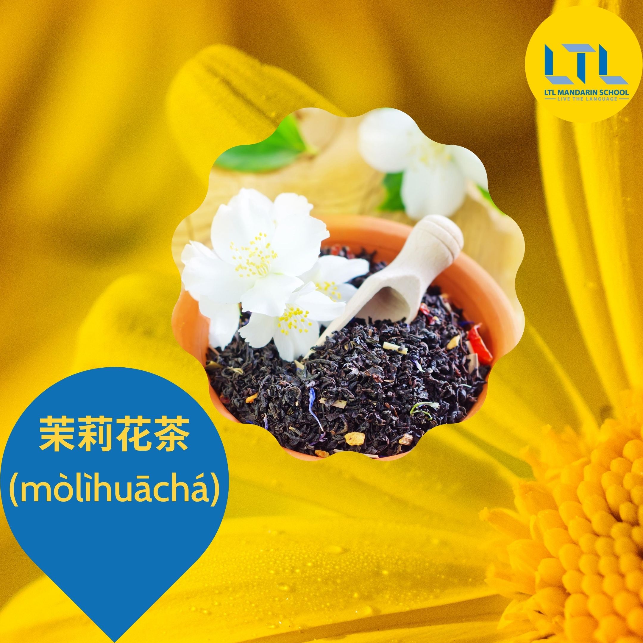 Tea Customs in China ☕️ Your Ultimate Guide (Plus FREE Download)