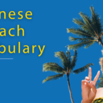 Let's Hit the Seaside // All The Chinese Beach Vocabulary You Need Thumbnail