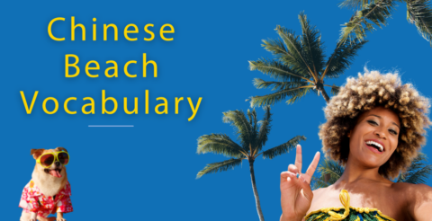 Let's Hit the Seaside // All The Chinese Beach Vocabulary You Need Thumbnail