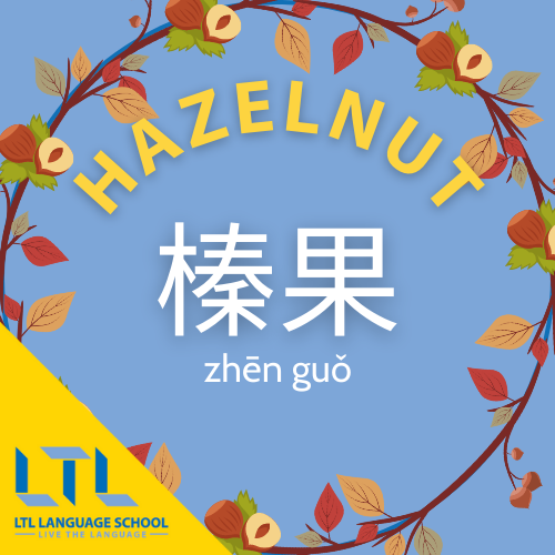 Hazelnut in Chinese