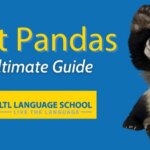 Giant Pandas || Ultimate Guide to China's National Treasure Thumbnail