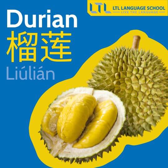 fruits in Chinese - durian